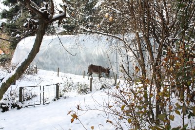 IMG_3659.jpg (398.53 KiB) Osservato 6679 volte IMG_3659.jpg