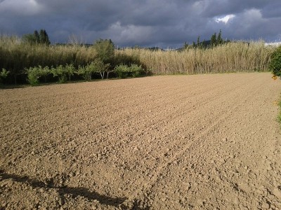 se non diluvia ce la facciamo... / prepazione terreno orto estivo 2015.jpg prepazione terreno orto estivo 2015.jpg