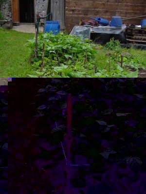 DSC03901.JPG (145.76 KiB) Osservato 1825 volte DSC03901.JPG