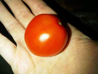 Il primo pomodorino / 14_2013.JPG 14_2013.JPG