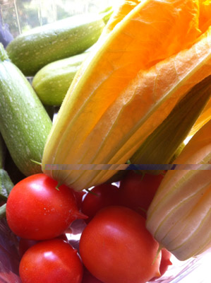 Raccolta... / 17_2013.JPG 17_2013.JPG