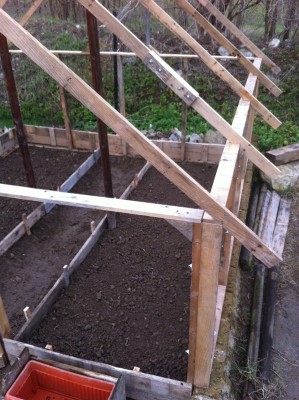 La serra - le vasche interne / 6_2014.jpg 6_2014.jpg