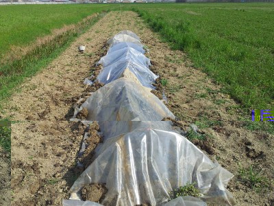 20140310_105206.jpg (183.1 KiB) Osservato 2080 volte 20140310_105206.jpg