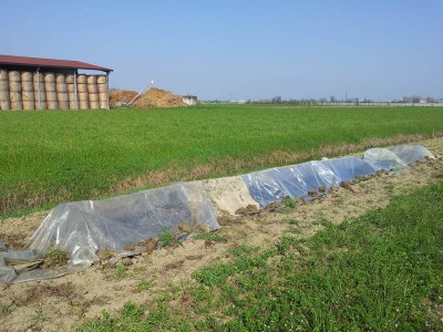 20140310_105218.jpg (137.32 KiB) Osservato 2080 volte 20140310_105218.jpg