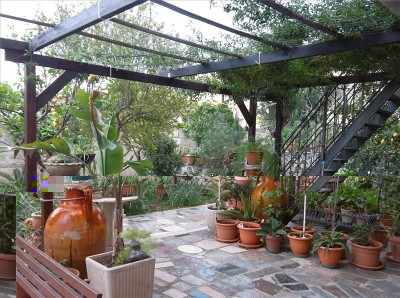 sam_9131b.jpg (129.44 KiB) Osservato 1681 volte sam_9131b.jpg