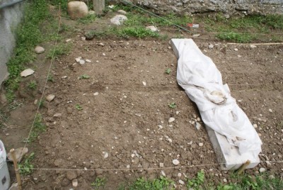 DSC09259 (Small).JPG (191.02 KiB) Osservato 1948 volte DSC09259 (Small).JPG