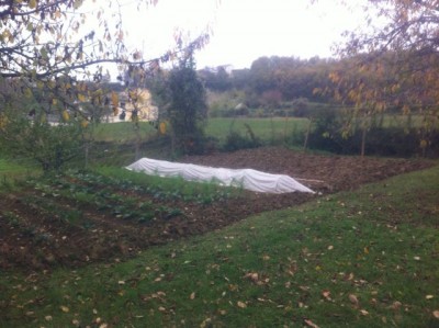 IMG_1049.jpg (64.47 KiB) Osservato 1316 volte IMG_1049.jpg