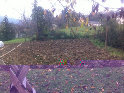 IMG_1074.jpg (65.55 KiB) Osservato 1316 volte IMG_1074.jpg