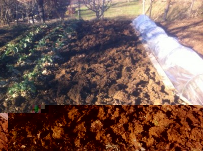 IMG_1141.jpg (84.15 KiB) Osservato 1313 volte IMG_1141.jpg