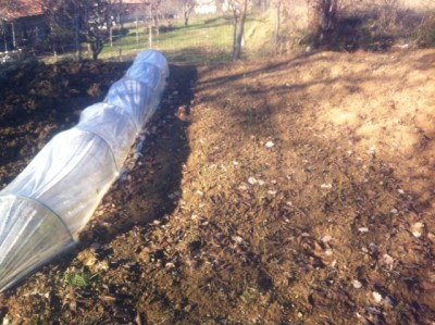 IMG_1142.jpg (84.08 KiB) Osservato 1313 volte IMG_1142.jpg