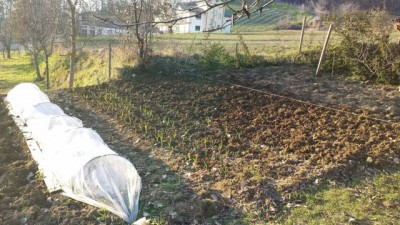 20140223_170757.jpg (83.4 KiB) Osservato 1311 volte 20140223_170757.jpg