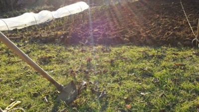 20140223_170819.jpg (85.92 KiB) Osservato 1310 volte 20140223_170819.jpg