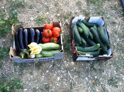 IMG-20140709-WA0028.jpg (144.66 KiB) Osservato 1257 volte IMG-20140709-WA0028.jpg