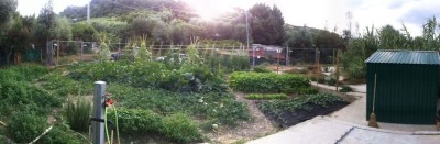 IMG-20140709-WA0004.jpg (46.59 KiB) Osservato 1257 volte IMG-20140709-WA0004.jpg