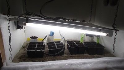 P1220142.jpg (88.38 KiB) Osservato 1765 volte P1220142.jpg