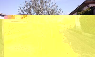 CAM01429 (FILEminimizer).jpg CAM01429 (FILEminimizer).jpg