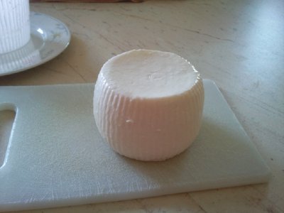 cacioricotta a 24 ore / Foto037.jpg Foto037.jpg