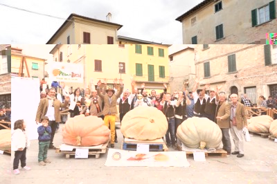 Festa della Zucca Foiano della Chiana (Ar) (5).JPG