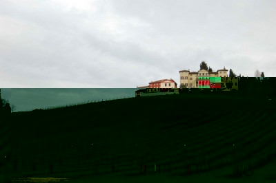 Il vigneto della scuola enologica Cerletti.jpg (378.49 KiB) Osservato 4630 volte Il vigneto della scuola enologica Cerletti.jpg