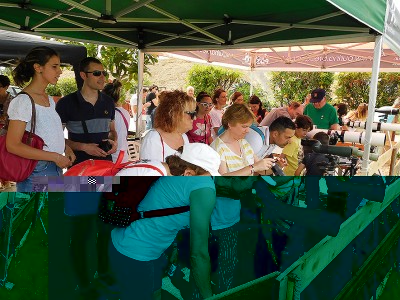 Giorno cicogna 2018 (foto Enrico Zarri).jpg