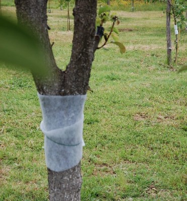 146.JPG (162.14 KiB) Osservato 1309 volte 146.JPG