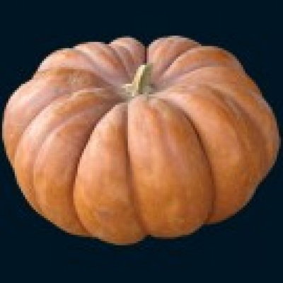 Musquee De Provence Pumpkin-500x500.jpg (51 KiB) Osservato 1279 volte Musquee De Provence Pumpkin-500x500.jpg