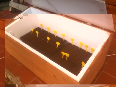 foto 2.JPG (93.36 KiB) Osservato 3576 volte foto 2.JPG