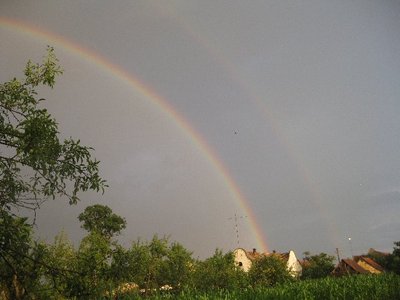 261891_2222906938947_1435941307_32596253_6431400_n.jpg (56.11 KiB) Osservato 970 volte 261891_2222906938947_1435941307_32596253_6431400_n.jpg