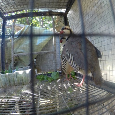 rsz_gopr1218.jpg (186.21 KiB) Osservato 833 volte rsz_gopr1218.jpg