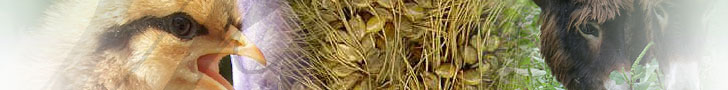 Zootecnia, Agricoltura, Ambiente, Animali