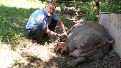 2.jpg (52.62 KiB) Osservato 11671 volte 2.jpg