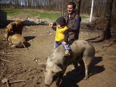 1.jpg (57.98 KiB) Osservato 11671 volte 1.jpg