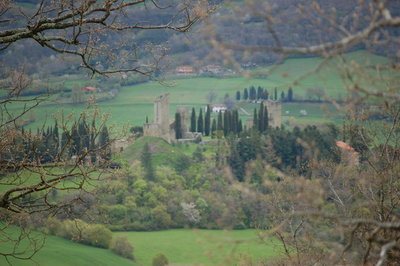 Terra di Toscana 24_04_2010.jpg