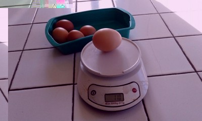 uovo Nelle 110 gr.jpg