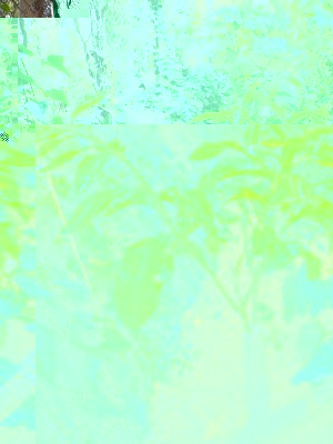 P1060277.JPG (304.85 KiB) Osservato 1374 volte P1060277.JPG