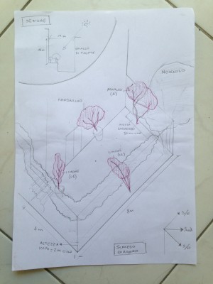 Schema del giardino, in rosso gli agrumi / Schema.JPG Schema.JPG