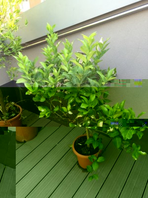 IMG_9653.jpg (160.58 KiB) Osservato 959 volte IMG_9653.jpg