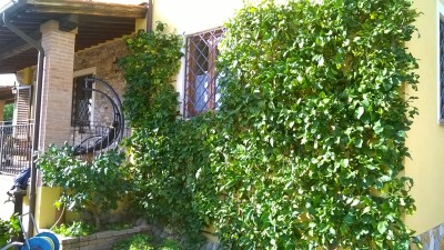 WP_20151017_16_02_18_Pro.jpg (1.97 MiB) Osservato 1214 volte WP_20151017_16_02_18_Pro.jpg