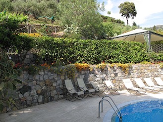 IMG_4135.jpg IMG_4135.jpg