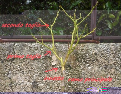 P1050318.JPG (221.99 KiB) Osservato 1146 volte P1050318.JPG