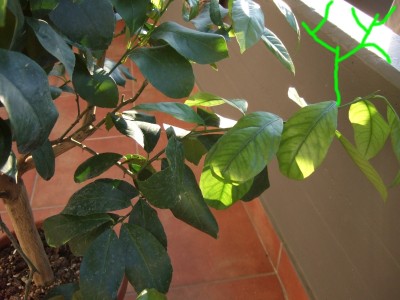 Foto 2 / getto1.jpg getto1.jpg