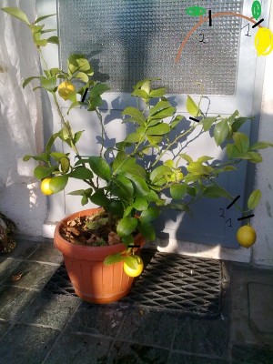 1.jpg (217.67 KiB) Osservato 582 volte 1.jpg