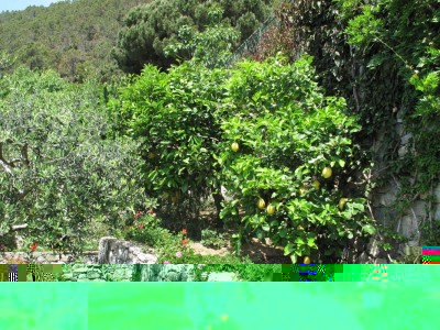 IMG_4121 (2).jpg (342.63 KiB) Osservato 735 volte IMG_4121 (2).jpg