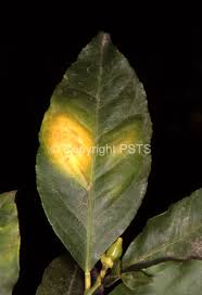 download.jpeg download.jpeg