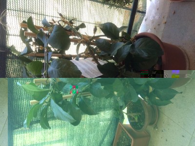 image.jpeg (145.79 KiB) Osservato 1035 volte image.jpeg