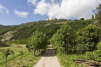 Chinotto di Finale Ligure.jpg