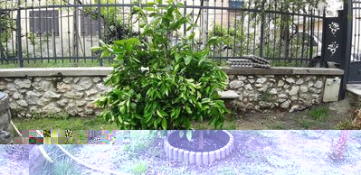 20190512_113716.jpg (163.08 KiB) Osservato 567 volte 20190512_113716.jpg