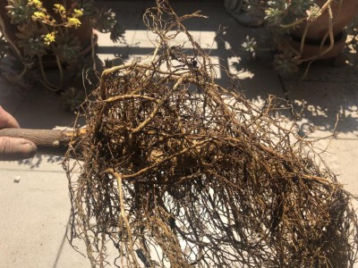 9E98D611-37A9-4299-89F1-28C6CB1CF405.jpeg (188.88 KiB) Osservato 383 volte 9E98D611-37A9-4299-89F1-28C6CB1CF405.jpeg