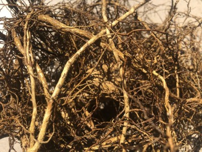 AF1988C1-EAC7-418B-B0AC-EB86ADD61639.jpeg (184.69 KiB) Osservato 383 volte AF1988C1-EAC7-418B-B0AC-EB86ADD61639.jpeg