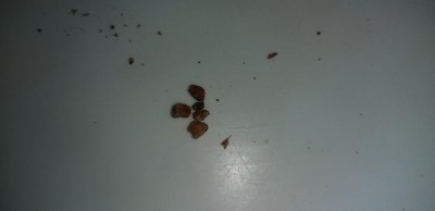 20200508_013850.jpg (18.79 KiB) Osservato 500 volte 20200508_013850.jpg